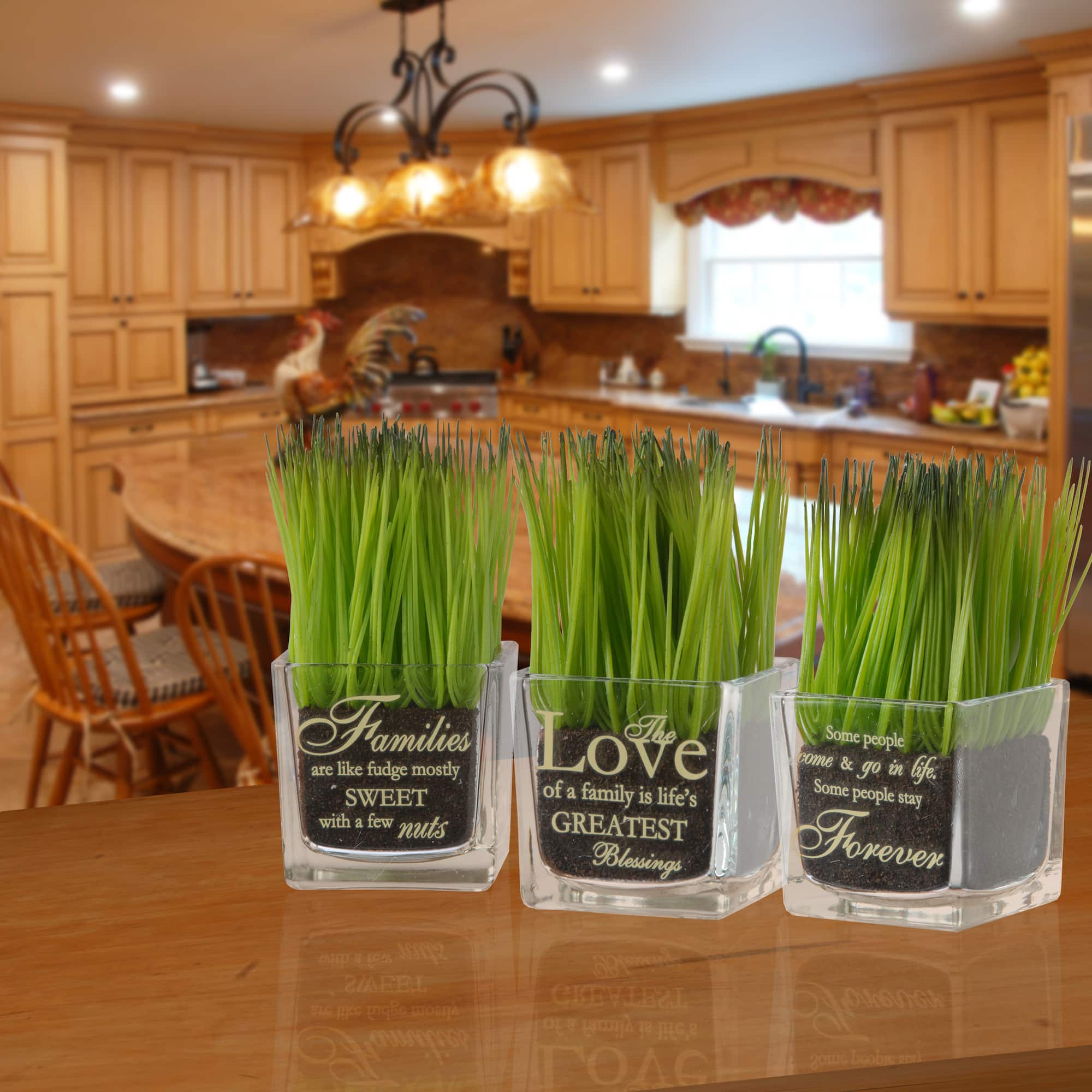 3-Piece Square Sprout-Filled Glass Assortment